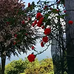 Pozzetto Лавено-Момбелло