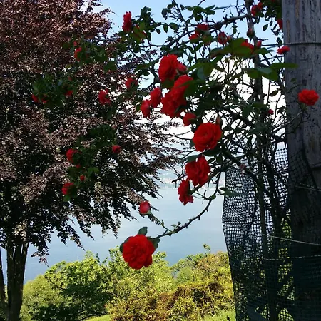 Pozzetto Laveno-Mombello